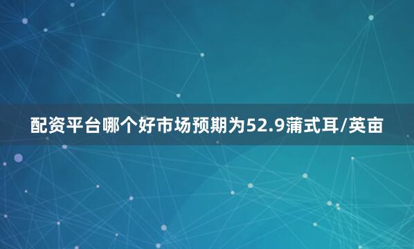 配资平台哪个好市场预期为52.9蒲式耳/英亩